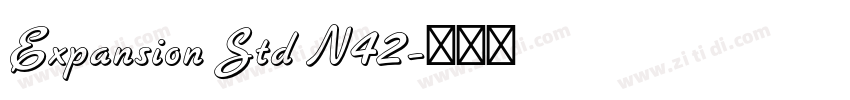 Expansion Std N42字体转换